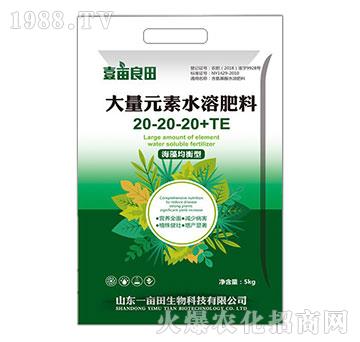 ��������ʹ���Ԫ��ˮ�ܷ�20-20-20+T��5kg��-Ҽ������