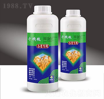 С�����ú�������ˮ�ܷ���-ǧ핼Z-��M�}