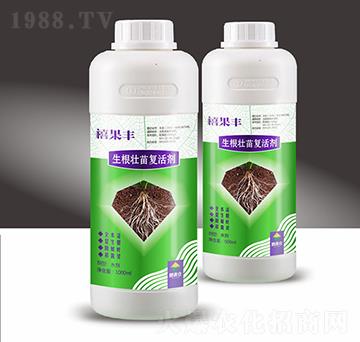 ���������(f��)�-�����S-��M�}