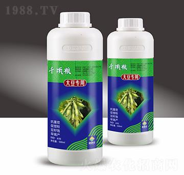 �󶹌��ú�������ˮ�ܷ���-ǧ핼Z-��M�}(c��ng)