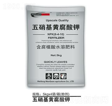 �������S�����-�f(w��n)Ȫ�r(n��ng)��