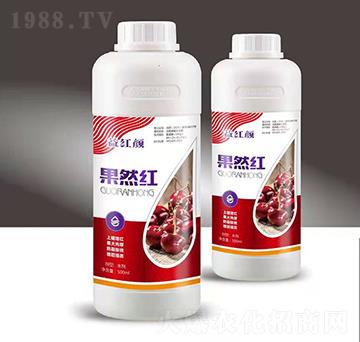 ��Ȼ�t-��t�-��M�}