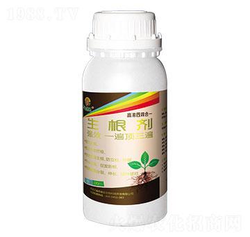 ������-�r�̘�