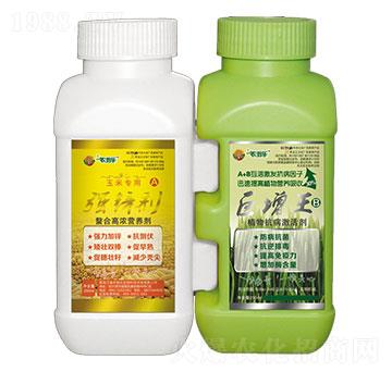 ���������׌���-�r�̘�