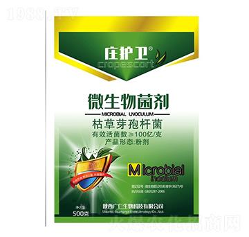 ΢�������-�f�o(h��)�l(w��i)-�V������