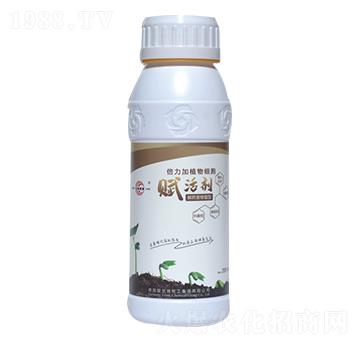 ������ֲ�：���x�-