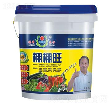 ������-�GԴ�̹�