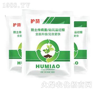 �o��-����ֲ��