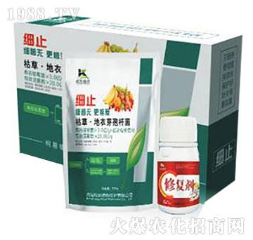 �ݲݡ�����ѿ�ߗU��-��(x��)ֹ-����ֲ��