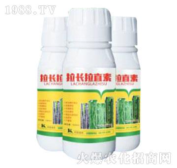 ���L��ֱ��-����ֲ��