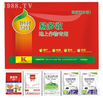 ���������-�׶���-����ֲ��