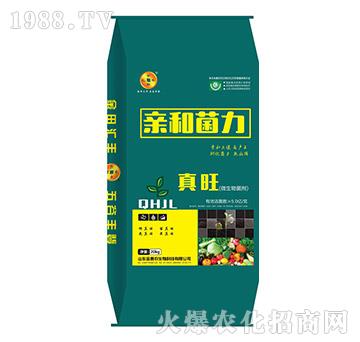 ΢�������-�H�;���-����-����r