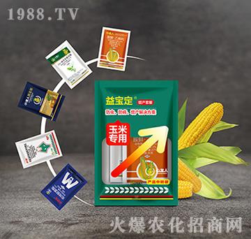 ���a�ײ�-�挚�����׌���-С����