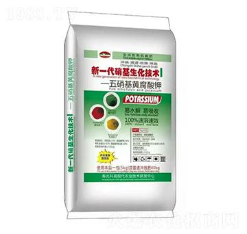 �������S�����-�۹��Է