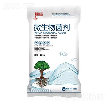 ΢�������-����-һ���r(n��ng)�I(y��)