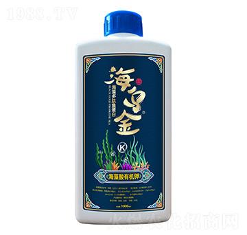 ��������~����-������-��������