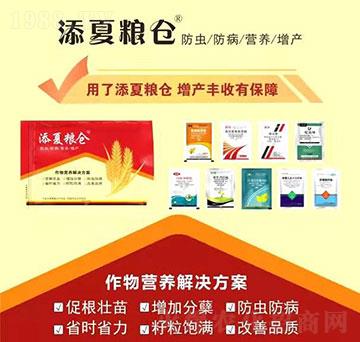 ����I�B(y��ng)��Q����-����