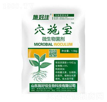 ΢�������-Ѩʩ��-ʩ�ü�