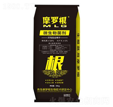 ΢�����������~�;��A��-Ħ�_��-���A����