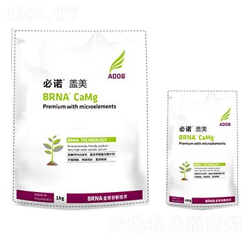 ���Z�w��-���r(n��ng)�̩