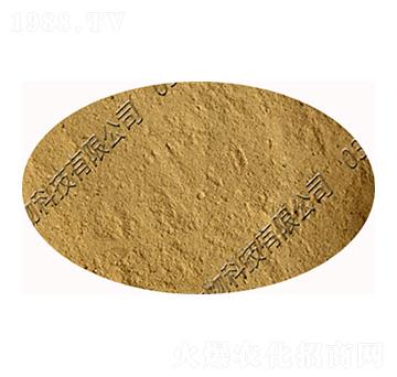 ��ճ�ѿ�ߗU���������-�������