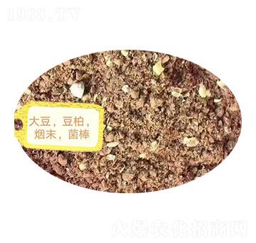 ������������ĩ��������-�Z�M�}