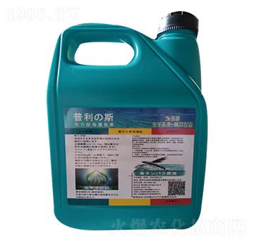 �����溣���~��-����˹-���r��(li��n)