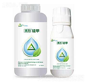 ِ�����-�����Ƽ�