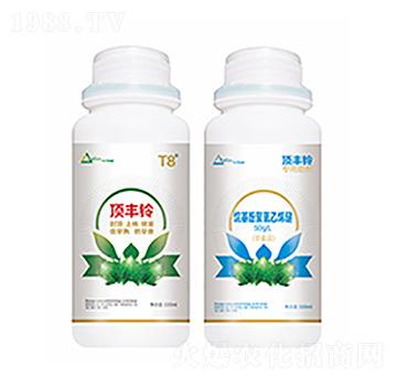 ��S�-�����Ƽ�