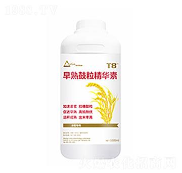 ����������A��-��ԣ��