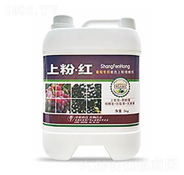 �Ϸۡ��t-�����Ƽ�