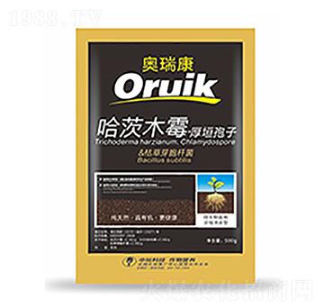 �W��-�����Ƽ�