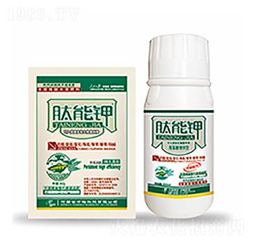 �����-�����Ƽ�