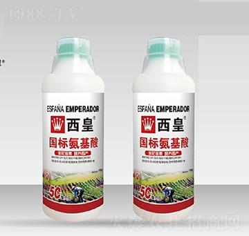 ���˰�����-����-����