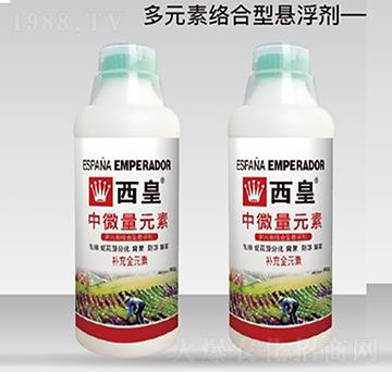 ��΢��Ԫ��-����-����