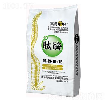 ��ø19-19-19+TE-��»��r(n��ng)