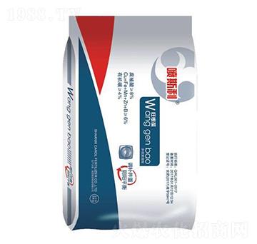 ������-��˹��-�P�_�ʘI(y��)