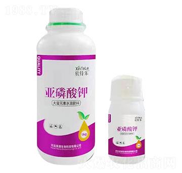 �������-���ؘ�(l��)-껵»���