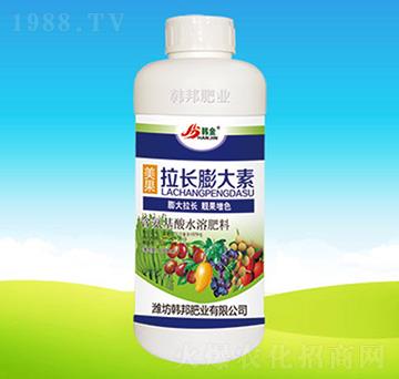 �������L�����-�n��ʘI(y��)