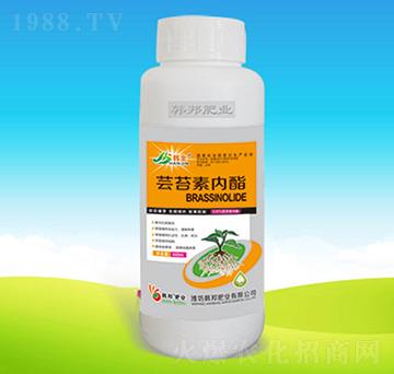 �|̦�؃�(n��i)����500g��-�n��ʘI(y��)