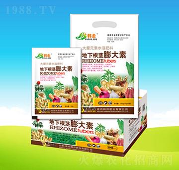 ���¸��o�����-�n��ʘI(y��)