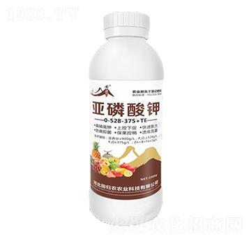 �������0-528-375+TE-�S����-�����r(n��ng)�I(y��)