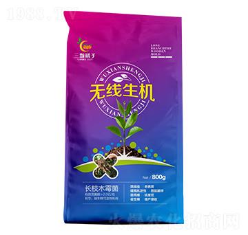 �o(w��)��(xi��n)���C(j��)-���w����