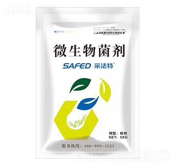 ΢�������-�ɷ���-��