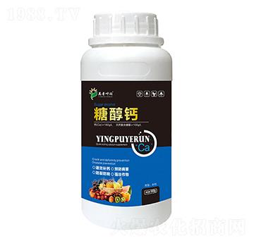 �Ǵ��}-Ӣ���~��