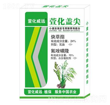 С��������ó��݄��M��-�滯�w��-�滯���h