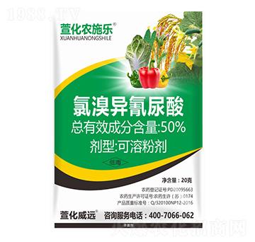 50%���宐������-��