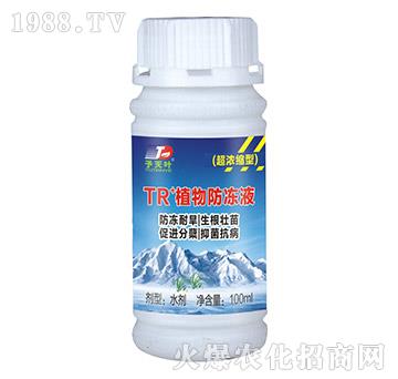 ����s��TR+ֲ�����Һ-���~����