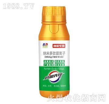 �������ü{�׶����y�x��-���~����