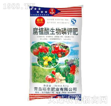 ��ֲ��������⛷�-ԣ�S